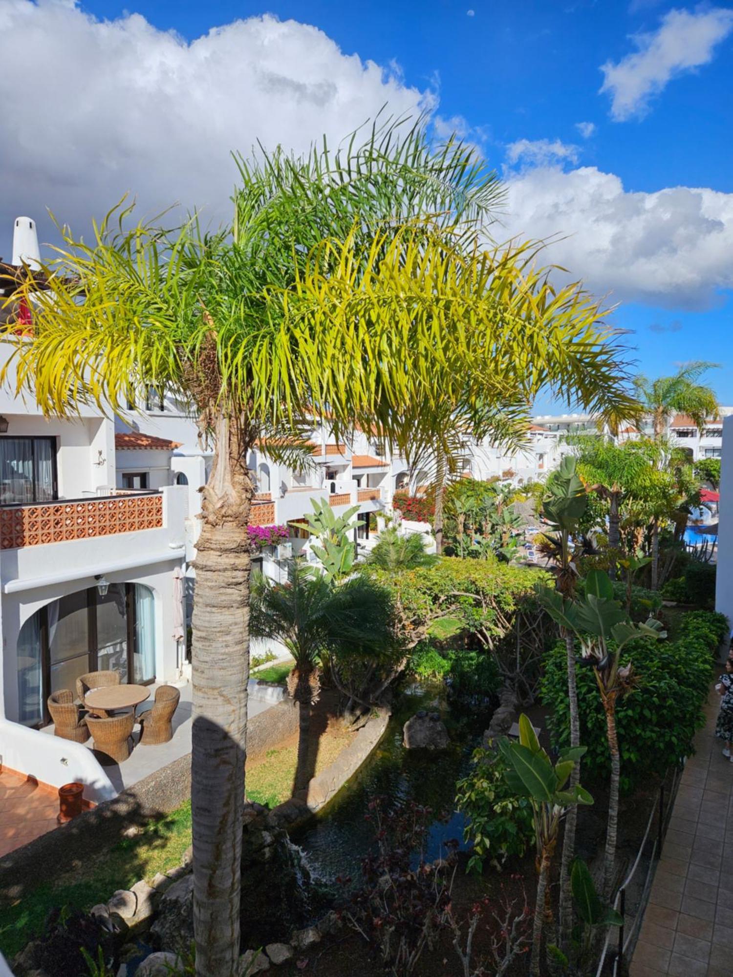 Апартаменты Sunny Oasis Amarilla Golf Сан Мигель Экстерьер фото